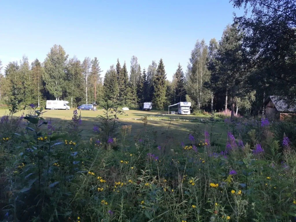 Campers op het ronde kampeerveld, met wilde bloemen op de voorgrond