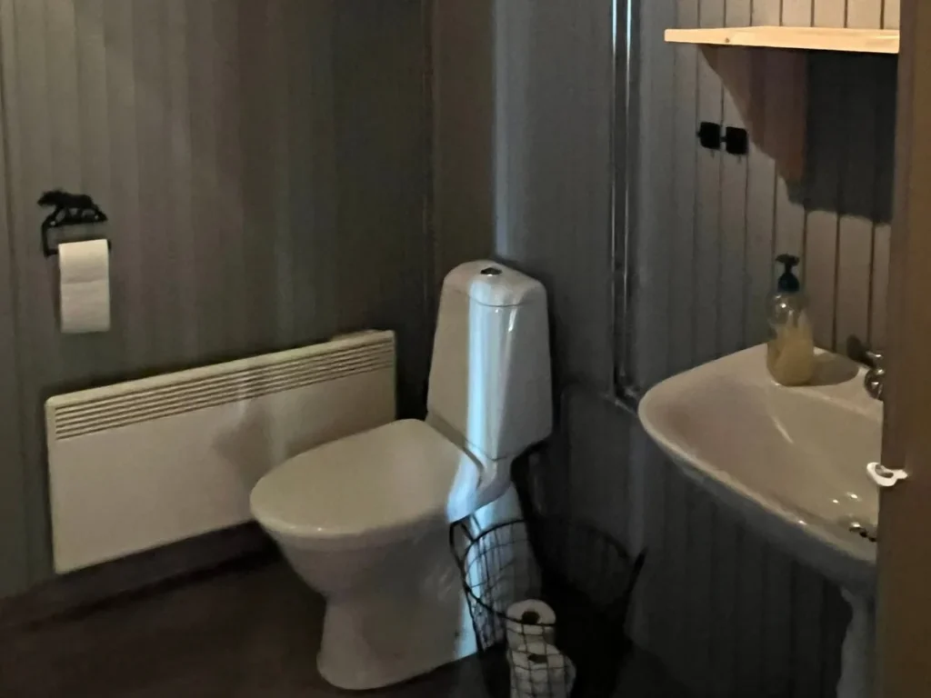 Badkamer met toilet en wastafel in Lodge Moose